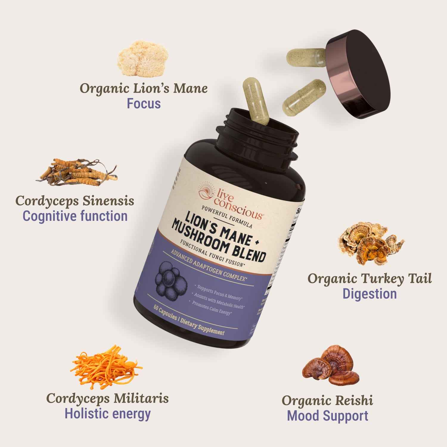 Lion's Mane + Mushroom Blend - Image 2
